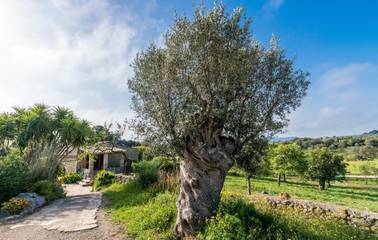 Finca in Artà, Mallorca Osten für 5 