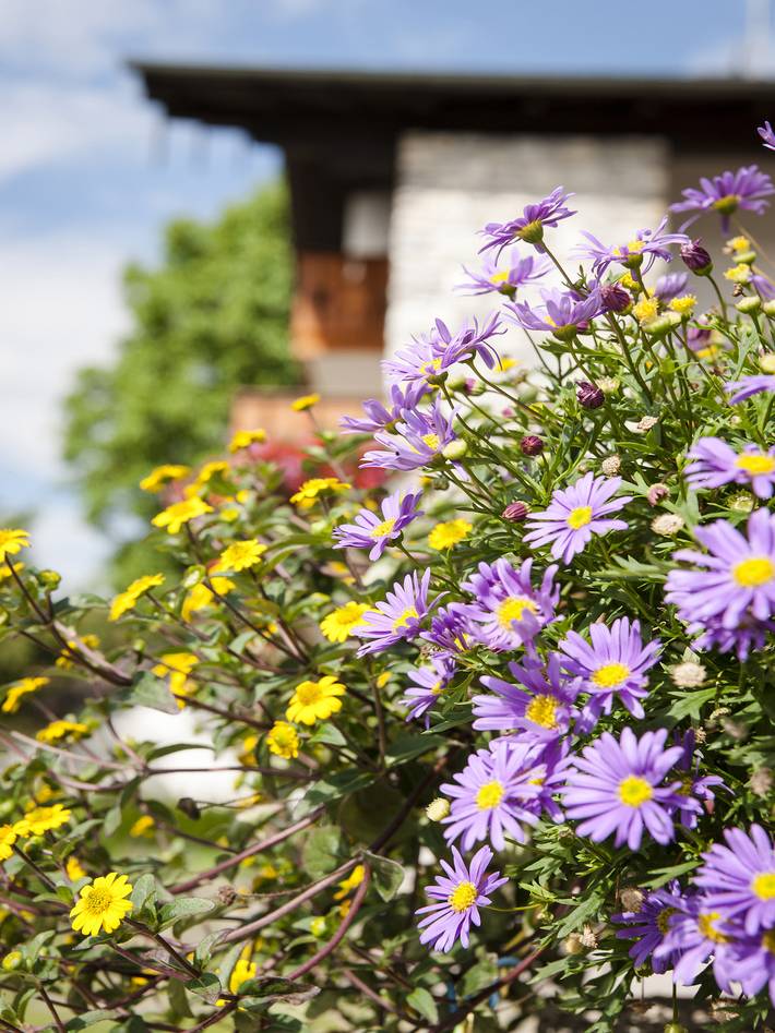 Ferienwohnung für 2 Personen, mit Balkon/Terrasse und Seeblick sowie Balkon, kinderfreundlich in Waging am See - 3
