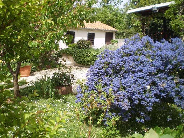 Dom dla 3 osób, z ogród w Chorwacja