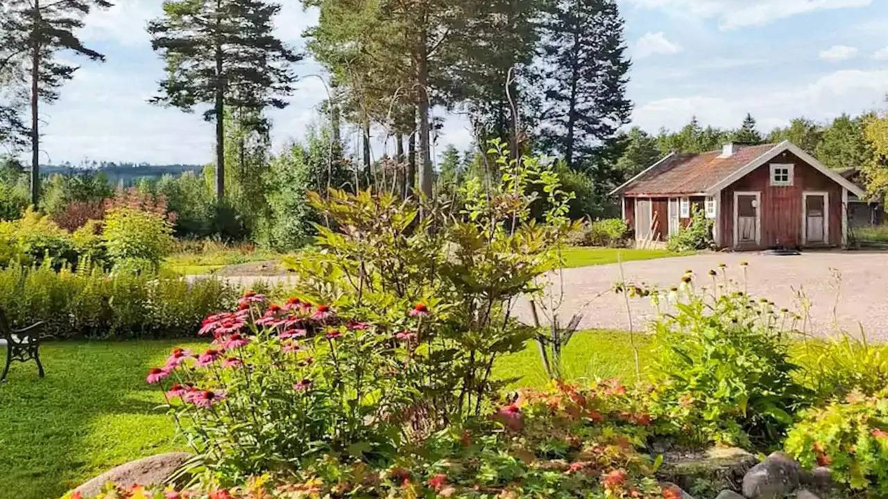 Ferienhaus für 4 Personen (40 m²) in Skattungbyn in Orsa, Dalarna