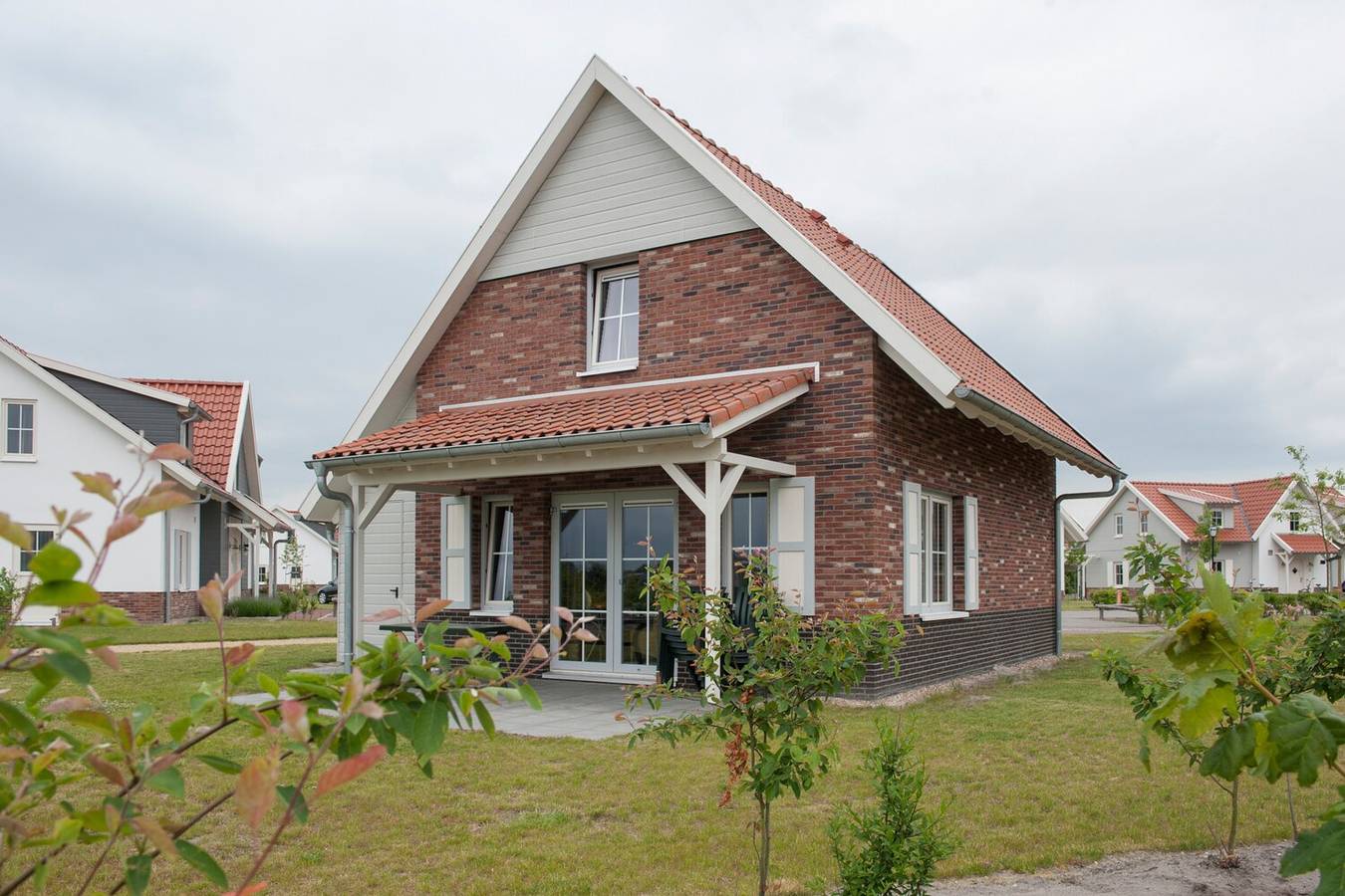 Klein Vink — Kvr6B in Nationalpark De Maasduinen
