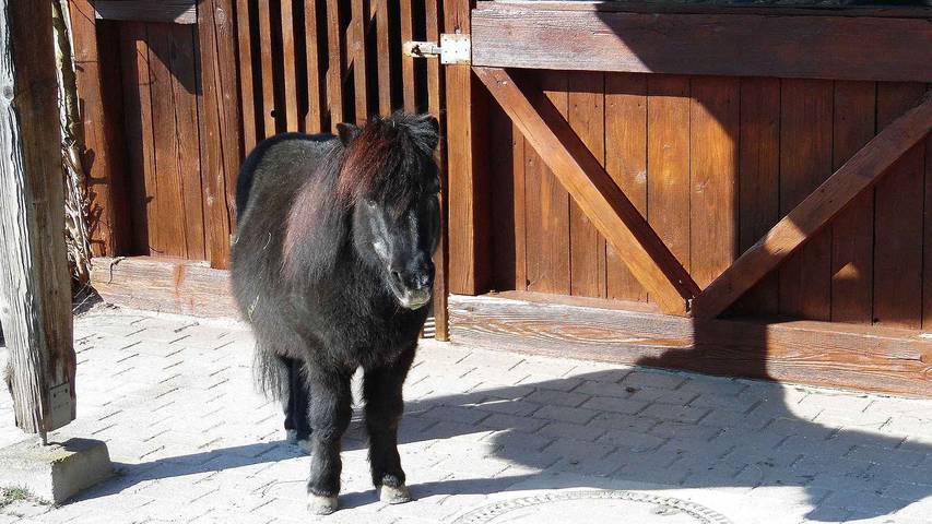 Ferienwohnung für 5 Personen, mit Balkon in Ringsheim