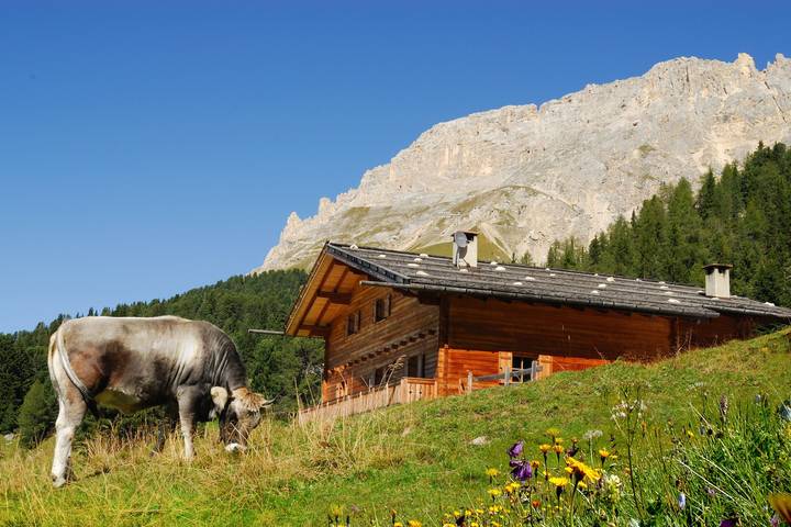 Ferienhaus für 8 Personen, mit Balkon und Garten in Trentino-Südtirol