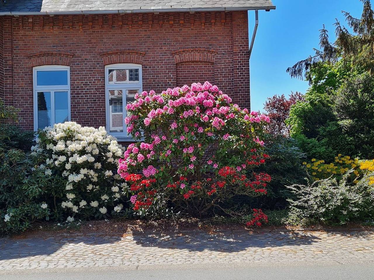 Ferienwohnung Annegret Schuback - Ferienwohnung Annegret Schuback in Jork, Altes Land Stade