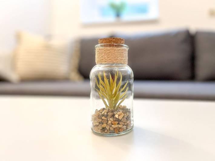 Ferienwohnung für 2 Personen, mit Haustier in Boltenhagen - 4