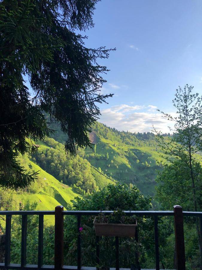 Chalet für 4 Personen, mit Garten und Whirlpool - 1