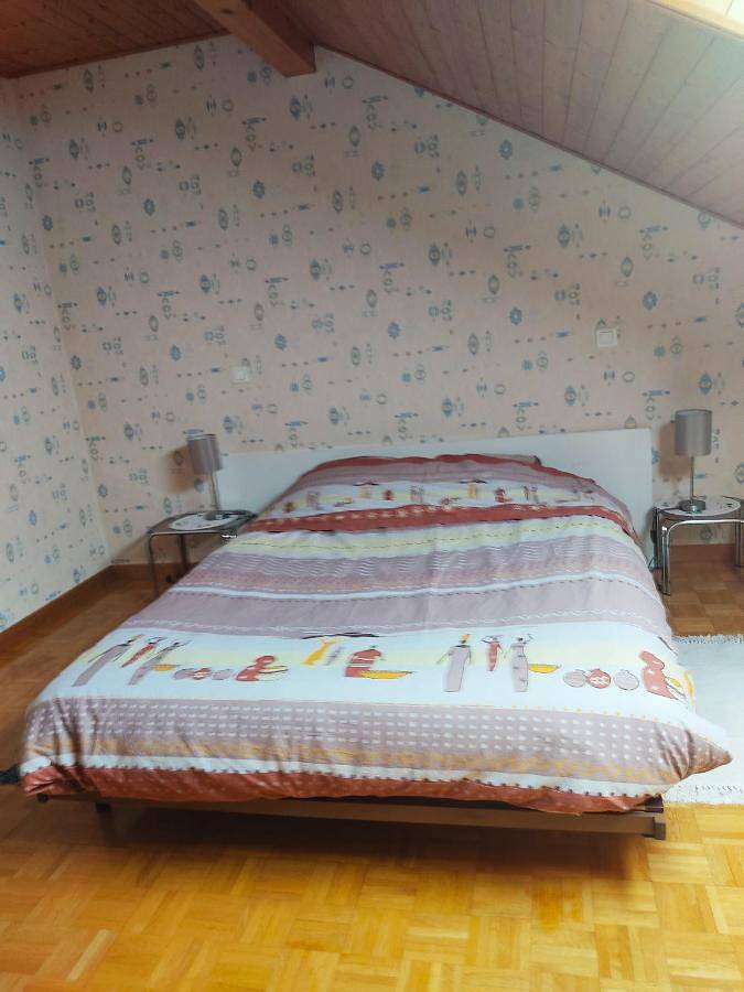 Appartement de vacances entier, Double Room in Valleiry, Région de Saint-Julien-en-Genevois