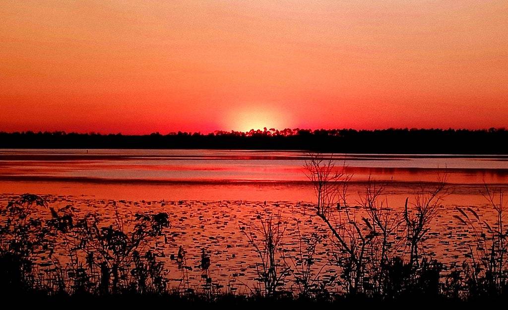 Lake Cottage, nur 1,6 km von den Spring Creek Park Boat Ramps entfernt in Georgia