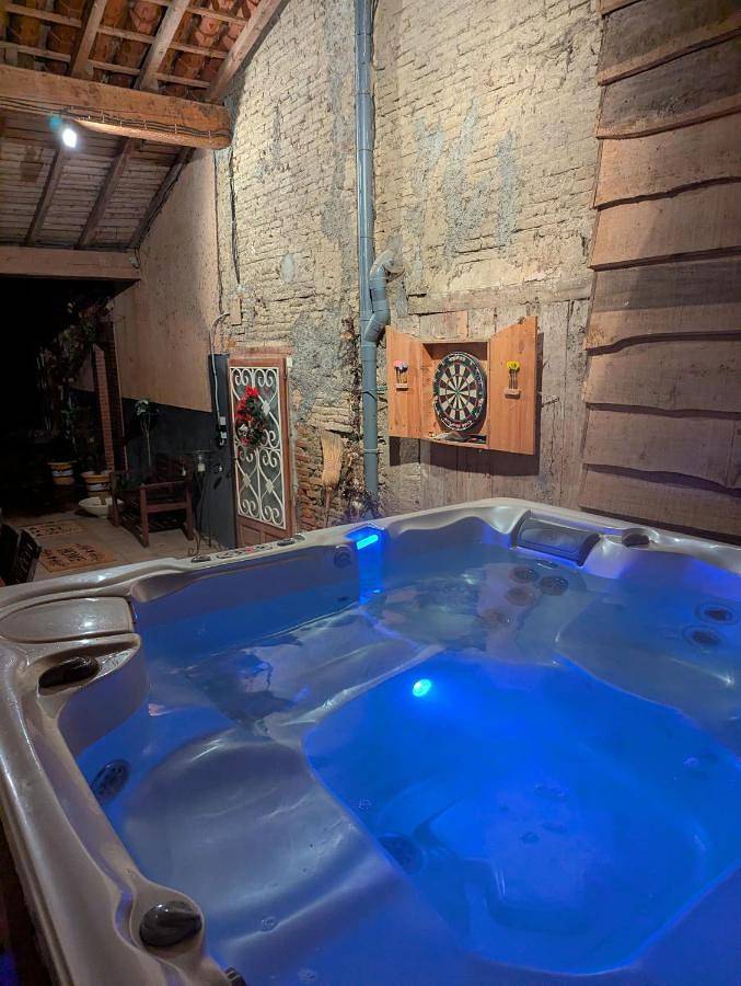 Location de vacances pour 12 personnes, avec terrasse et piscine ainsi que jacuzzi et jardin à Verdun-sur-Garonne - 2