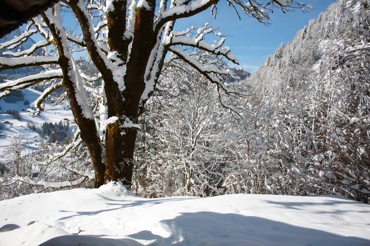 La Case in Abondance, Les Portes du Soleil