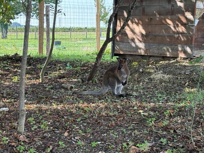 Location de vacances pour 4 personnes, avec jacuzzi ainsi que jardin et terrasse à Asnières-la-Giraud - 4