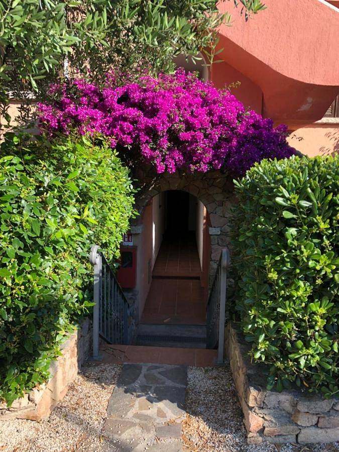 Gîte pour 3 personnes, avec jardin et terrasse à Porto Rotondo - 4