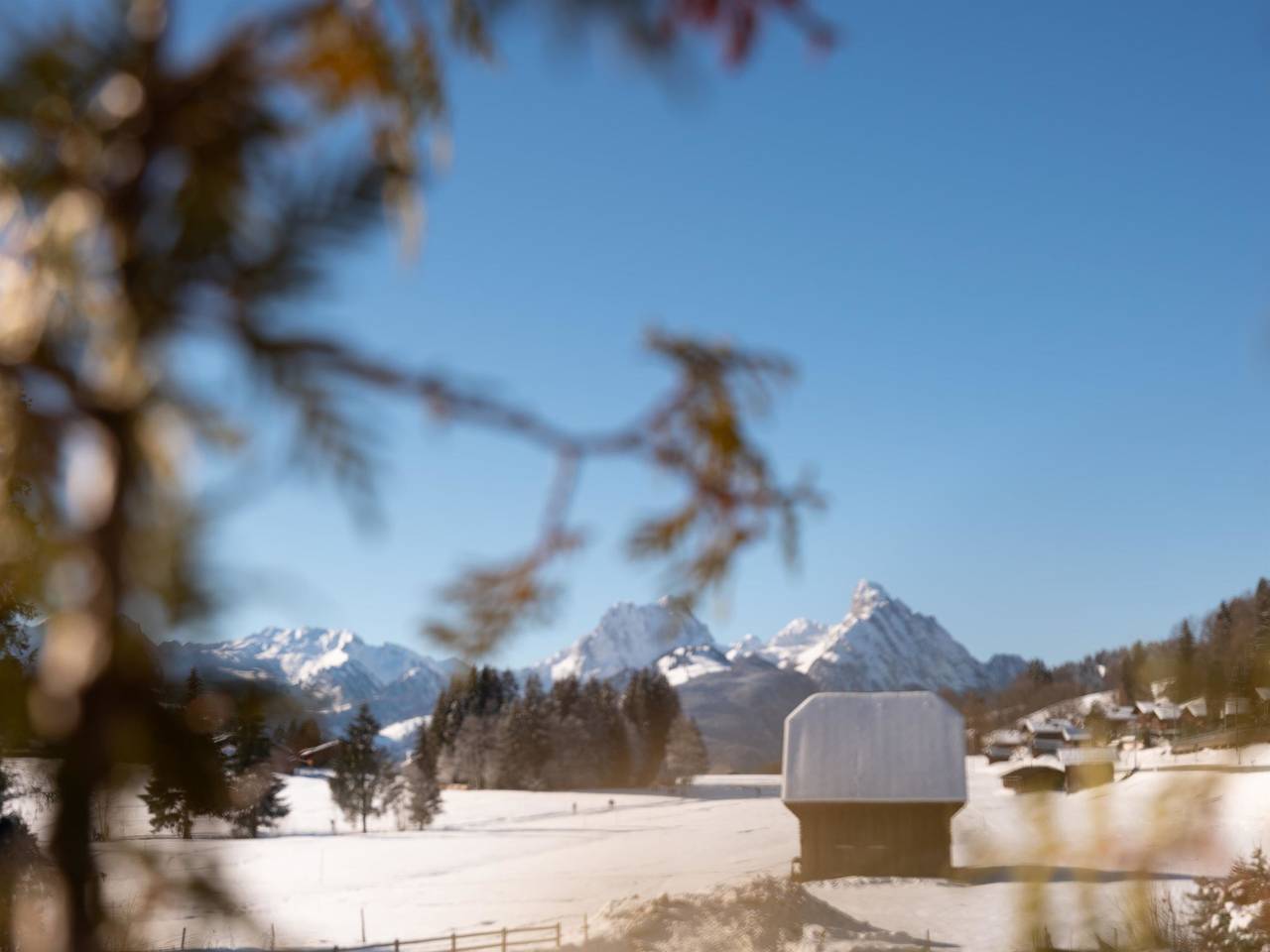 Ganze Wohnung, Fichte (Marija) in Saanenmöser, Saanen