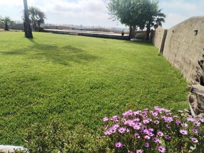 Casa rural para 7 personas, con Terraza y Jardín además de Piscina y Vistas en Delta del Ebro - 4