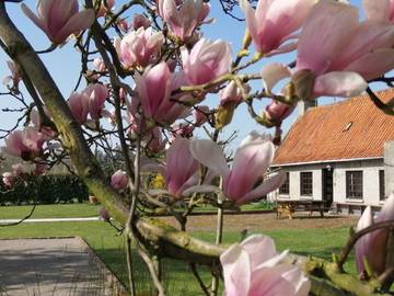 Gîte pour 6 personnes, avec jardin et terrasse, animaux acceptés dans le Pas-de-Calais