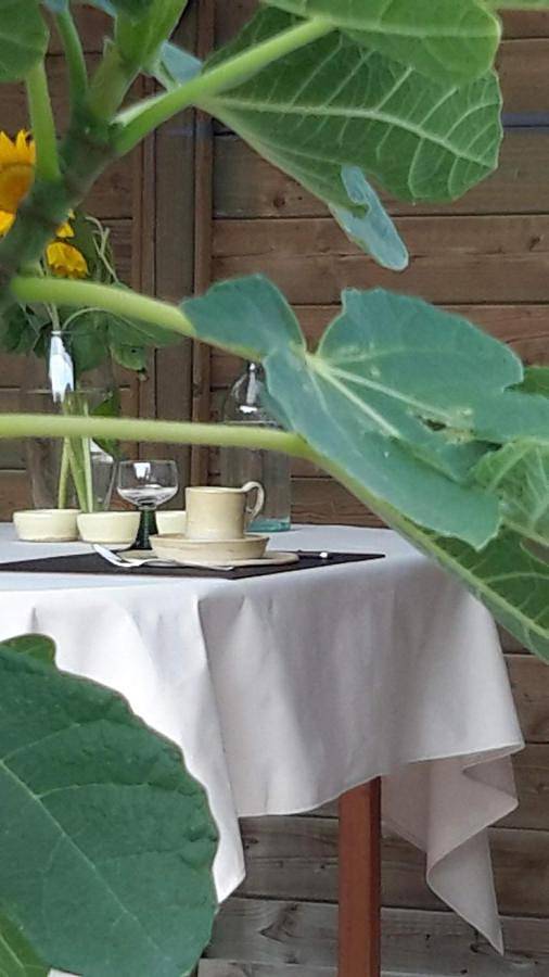 Chambre d’hôte pour 4 personnes, avec Terrasse ainsi que Jardin et Sauna à Roeselare