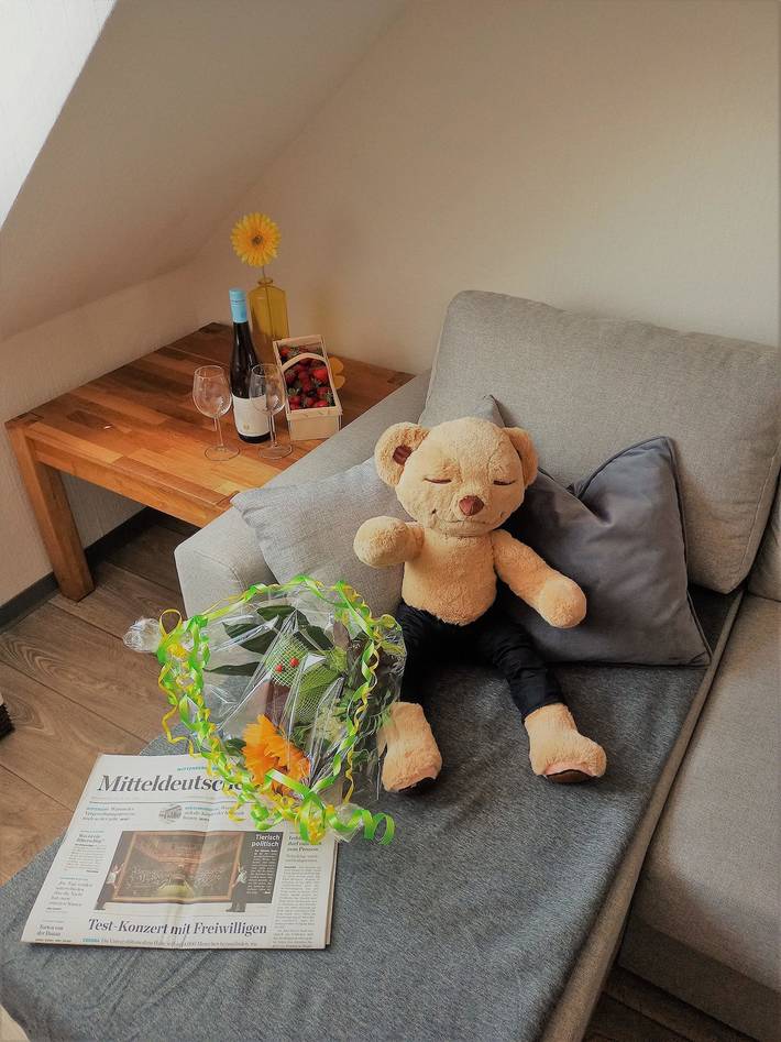 Ganze Ferienwohnung, Turmblick Gästequartier Coswig: Hier erwartet Sie individueller Service im Herzen der Altstadt. in Coswig (Anhalt), Dessau-Wörlitzer Gartenreich