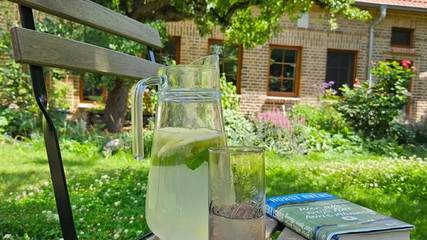 Ferienhaus für 6 Personen in Unterspreewald, Naturpark Dahme-Heideseen (Brandenburg), Bild 3