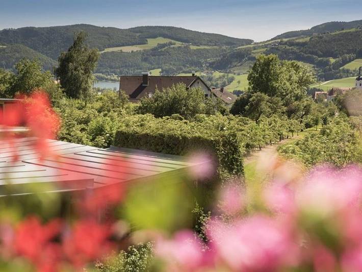 Haus Hofstädtler- Sailer - Doppelzimmer mit Dusche, Wc in Gemeinde Stubenberg, Steirerland