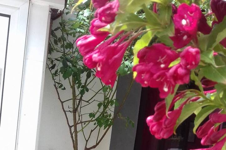 Appartement de vacances pour 2 personnes, avec terrasse, animaux acceptés
