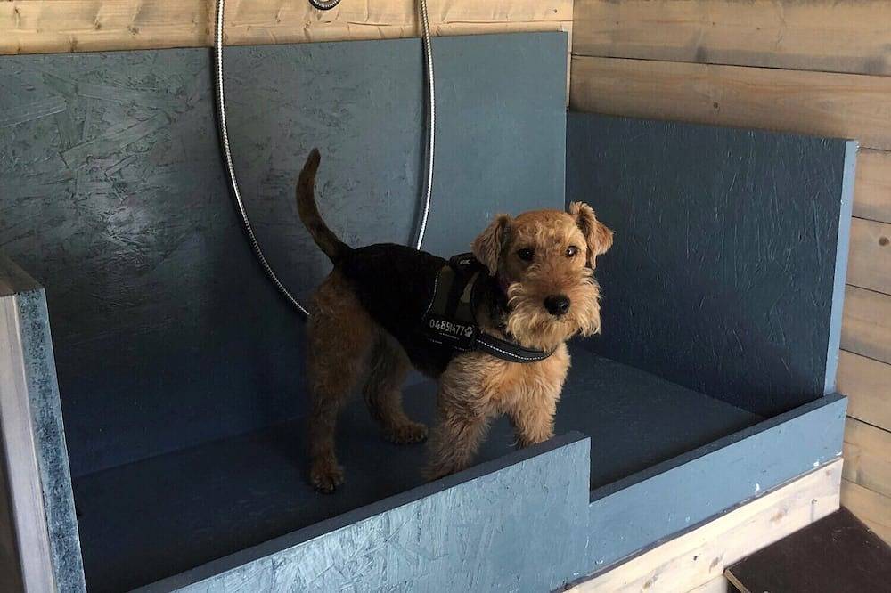 Gemütliches Häuschen direkt am Nordseedeich. Perfekt für Urlaub mit Hund. in Warwerort, Dithmarschen