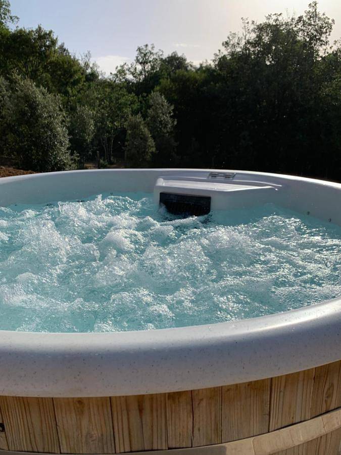 Location de vacances pour 8 personnes, avec jardin et vue, animaux acceptés à Orliaguet - 3