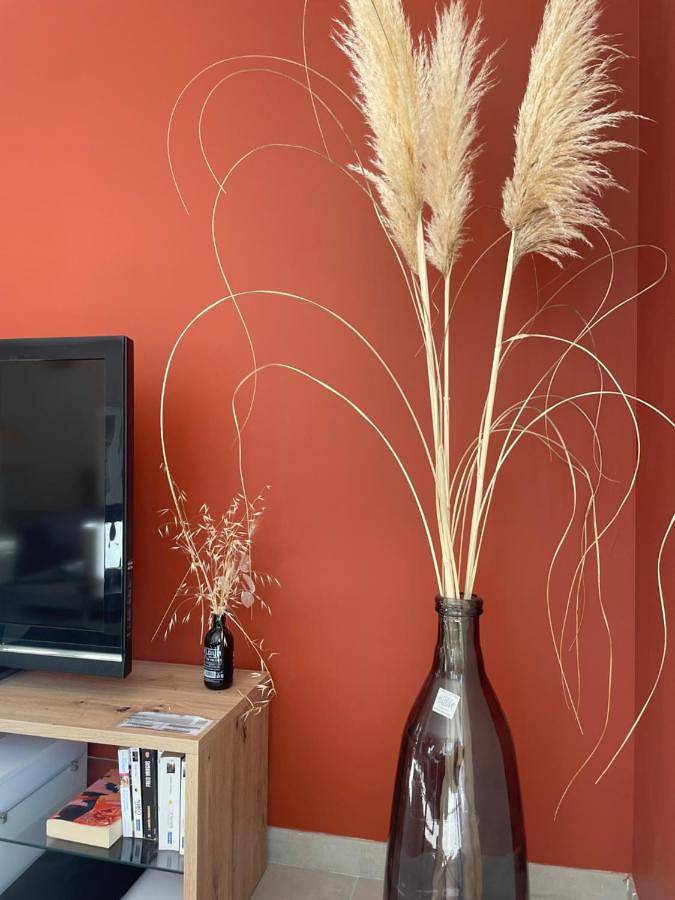 Location de vacances pour 8 personnes, avec bassin pour enfant et vue ainsi que piscine et jardin à Alleins - 4