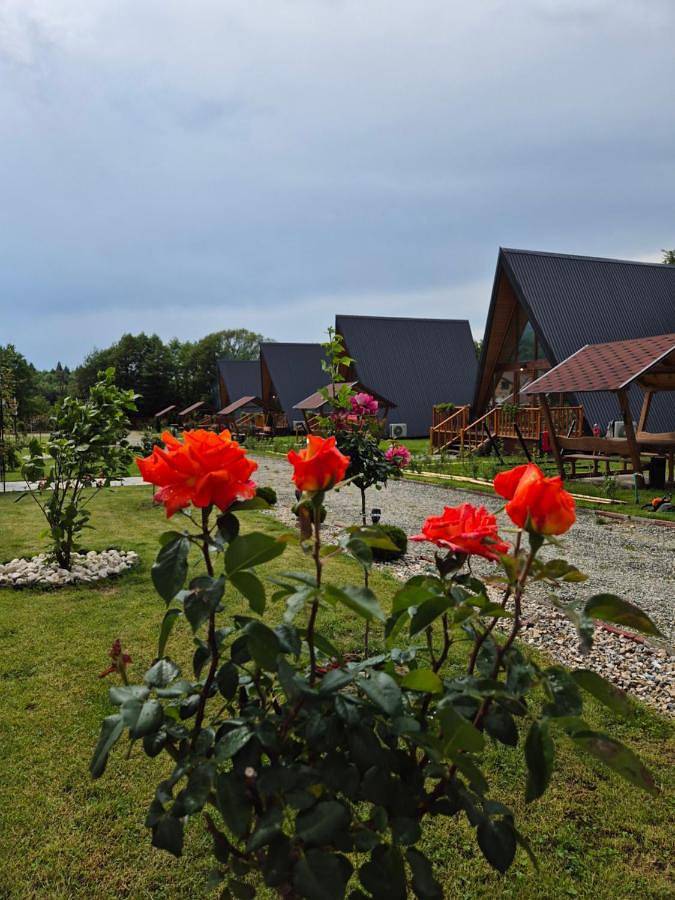 Doka Valea Sebesului A-Frame in Hârseni, Karpaty (Rumunia)
