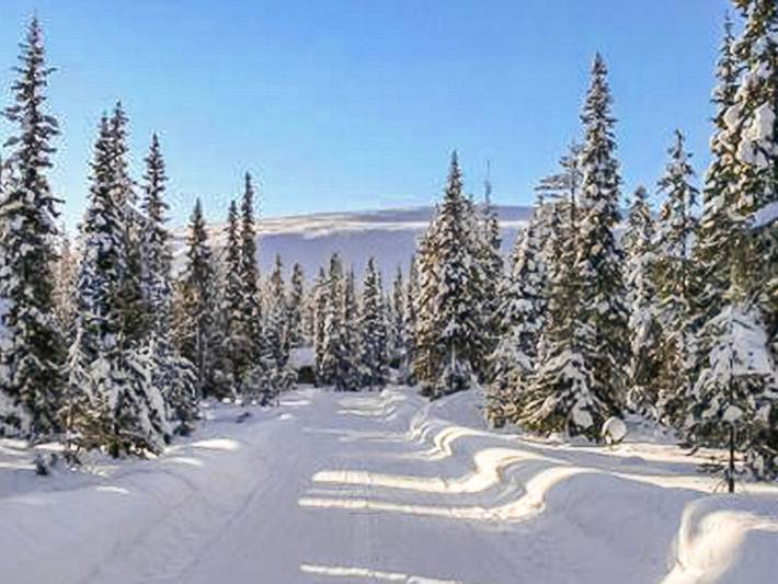 Luostonseita 3 in Lappland