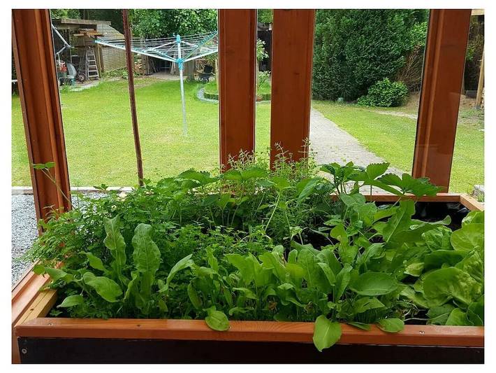 Ferienhaus für 2 Personen, mit Garten in Großenbrode - 4