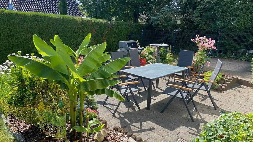 Ferienwohnung für 4 Personen, mit Garten in Rheinhessen - 2