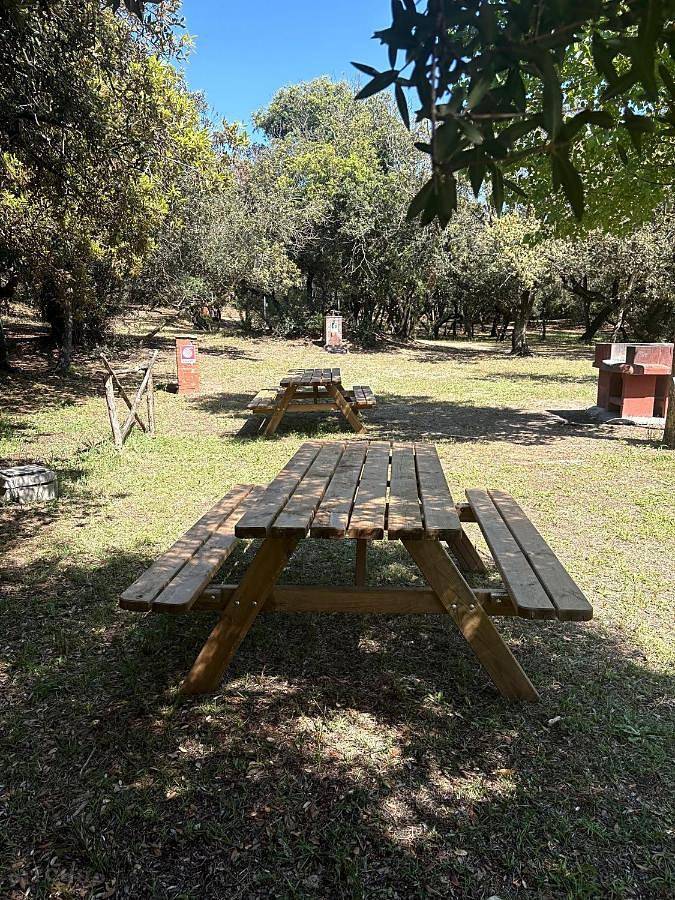 Camping Internazionale Di Castelfusano in Lido del Finanziere, Rome