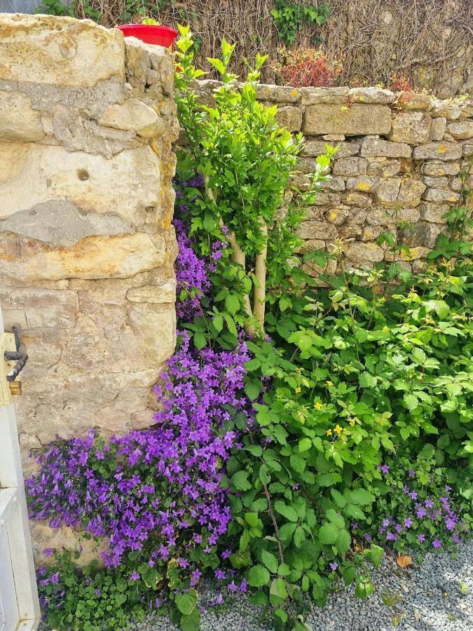 Location de vacances pour 5 personnes, avec jardin, animaux acceptés à Esnandes - 4