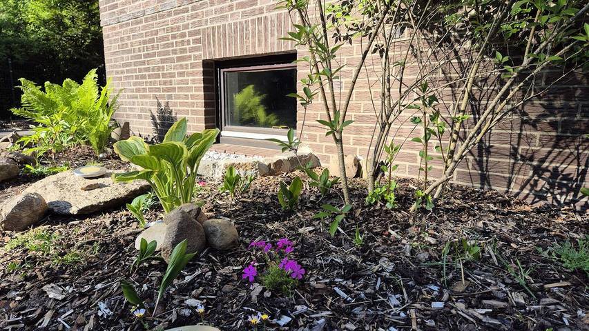 Ferienwohnung für 3 Personen in Schneverdingen - 3