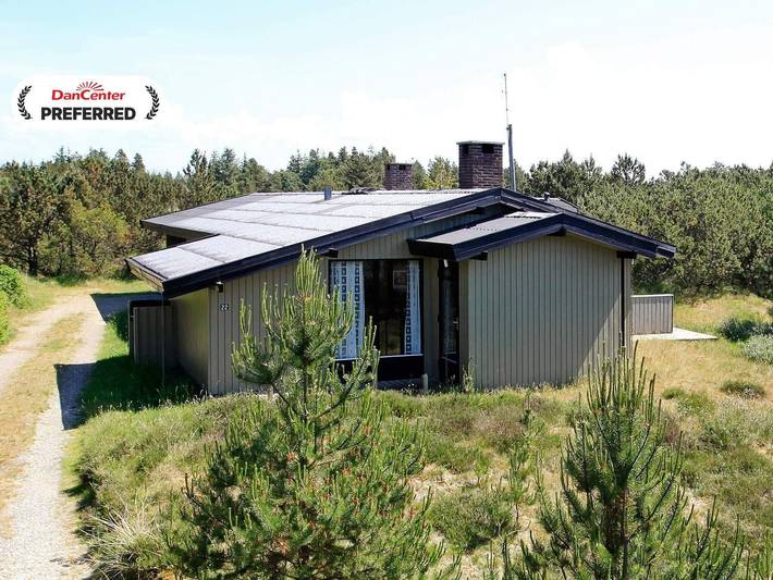Vakantiehuis voor 6 personen, met terras en sauna, met huisdier in Blåvand