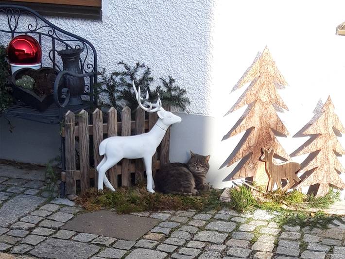 Ganze Ferienwohnung, Feichtlhof - Ferienwohnung Abendsonne bis 5 Personen, Balkon, 51 qm in Taching am See, Rupertiwinkel