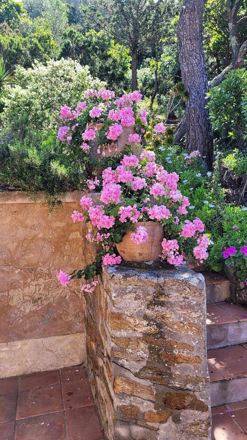 Two-Bedroom House in Hyeres, Parc national de Port-Cros