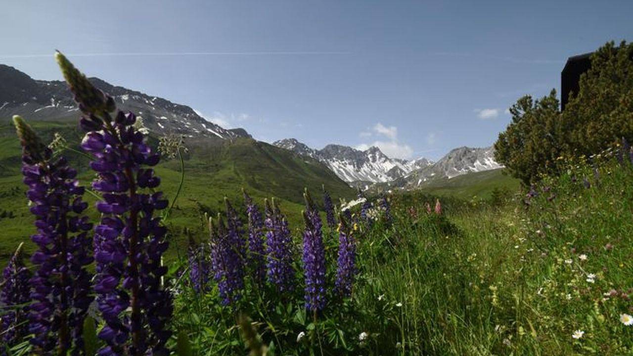 Entire holiday apartment, Ferienwohnung für 4 Personen (56 m²) in Arosa in Arosa, Plessur alps