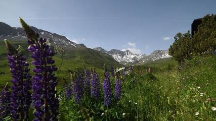 Appartement voor 4 Personen in Arosa, Plessur, Afbeelding 4