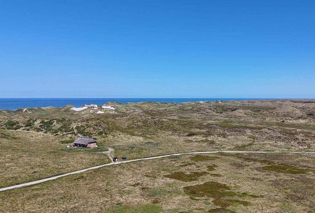 Living directly in the dunes on the North Sea beach on a 12,000 sqm plot in Husby, Région de Holstebro