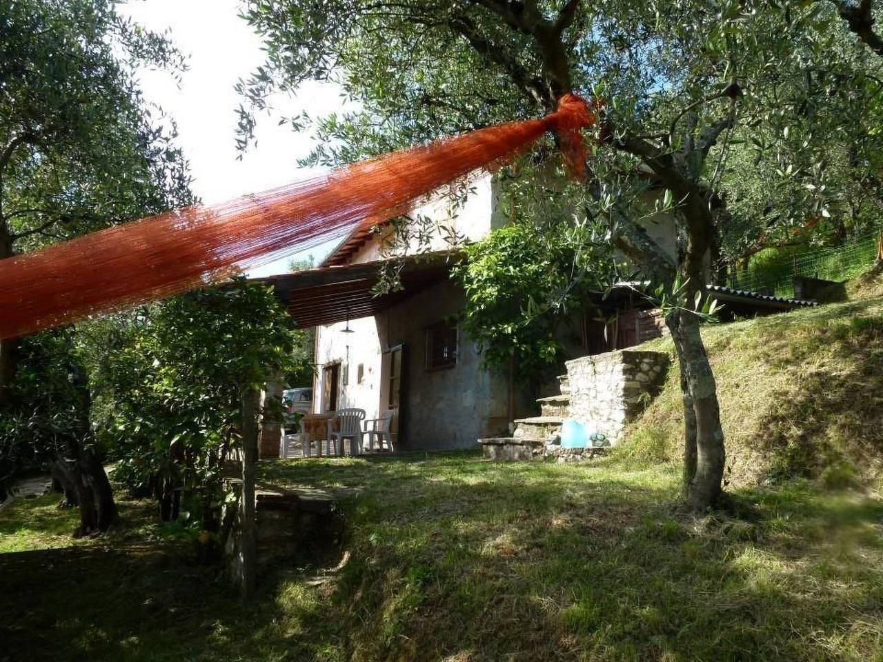 Rustico inmitten eines Olivenhainens in Camaiore, Italienische Riviera
