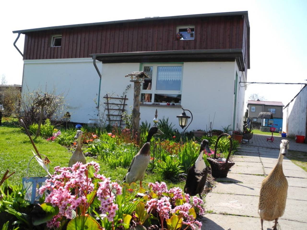 Ganze Ferienwohnung, Ferienwohnung Boddenblick in Polchow, Glowe