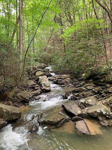 Vacation House for 14 Guests in Norris Lake, Tennessee, Picture 4