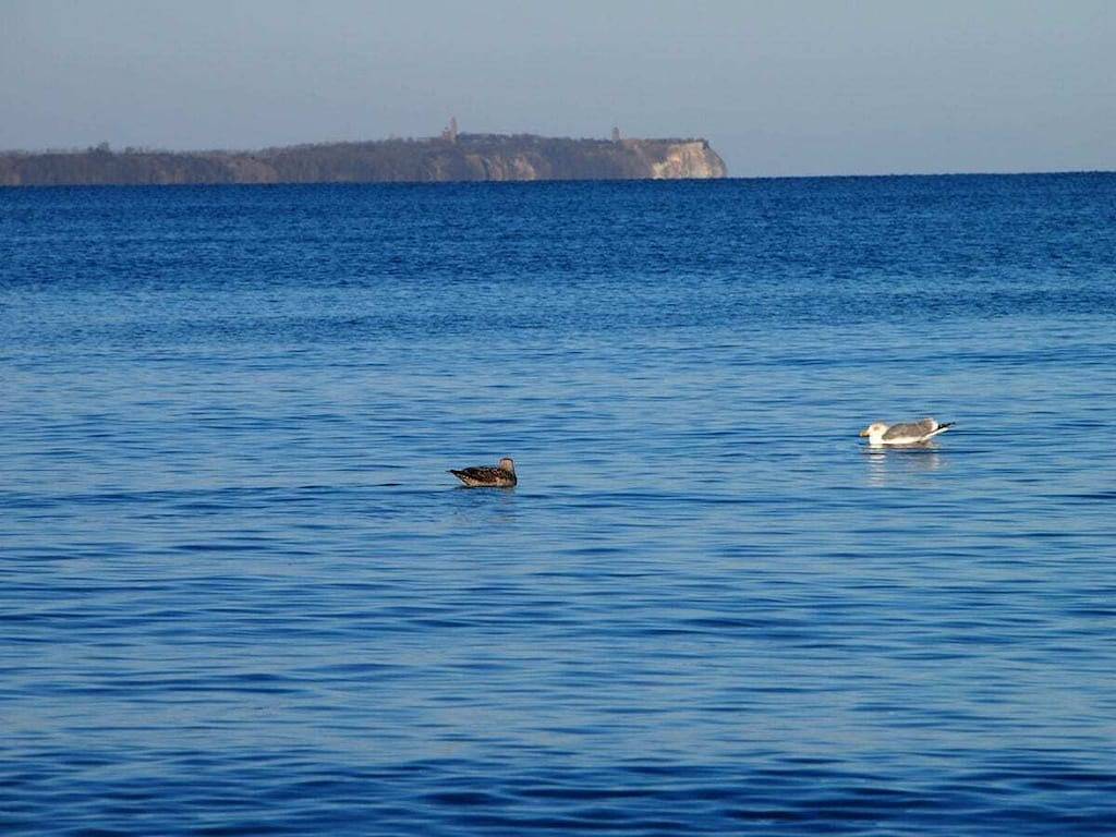 Ferienwohnung mit 2 Schlafzimmer in Gingst, Rügen