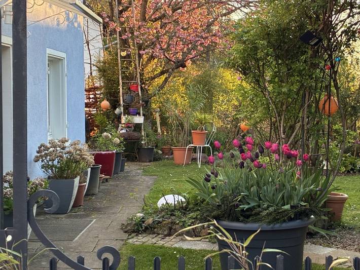 Gîte pour 2 personnes, avec terrasse et balcon/terrasse à Badenweiler - 2