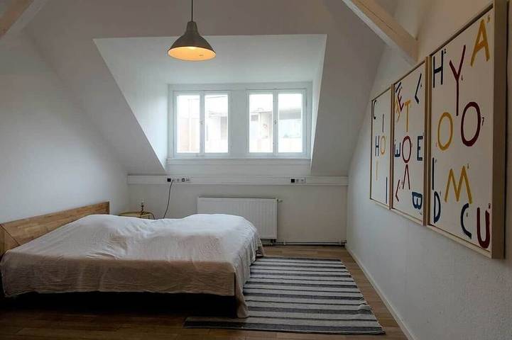 Ganze Wohnung, 180qm-Dachwohnung für bis zu 11 Personen - zentral in Gera, Ostthüringen