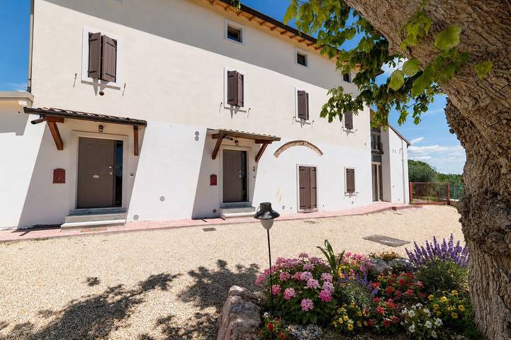 Entire apartment, Uliveto Apartment: A Charming Retreat Among Olive Groves, Vineyards, and Countryside Relaxation in Cavaion Veronese, Garda Mountains