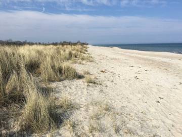 Ferienwohnung für 6 Personen in Kronsgaard, Schleswig-Flensburg, Bild 4