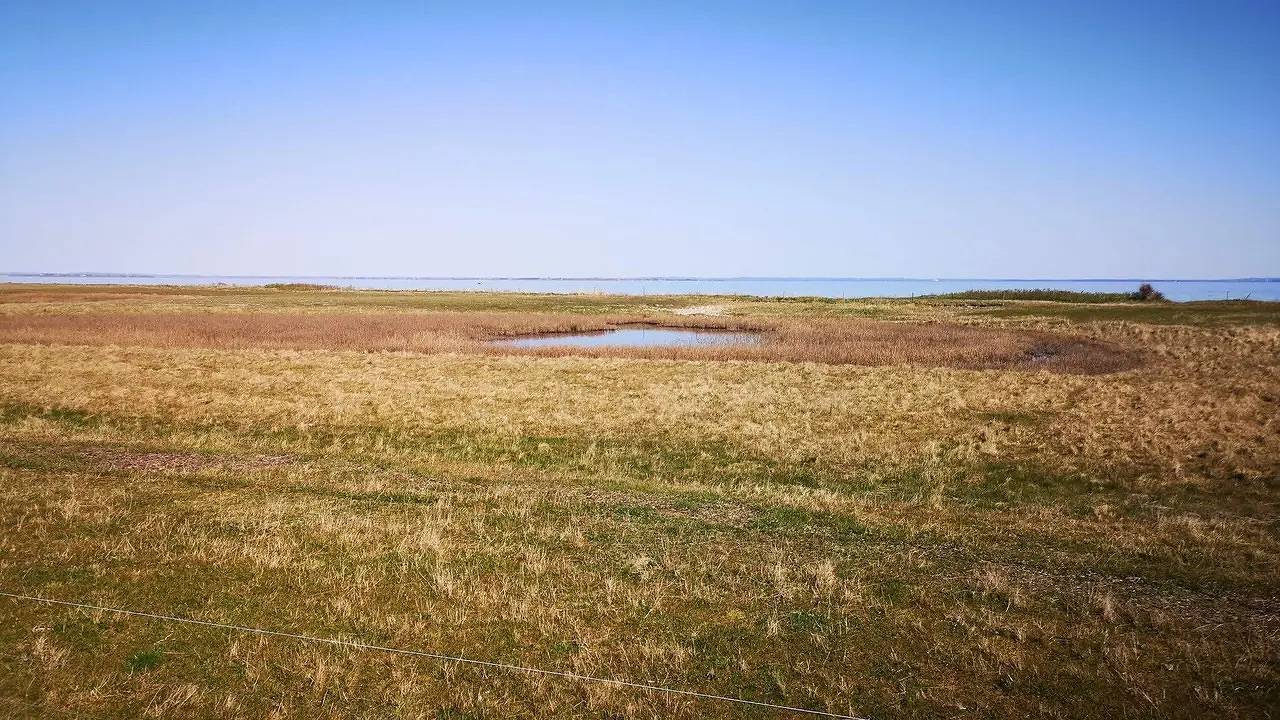 Ferienhaus für 4 Personen (55 m²) in Ærøskøbing in Ærøskøbing, Kleiner Belt