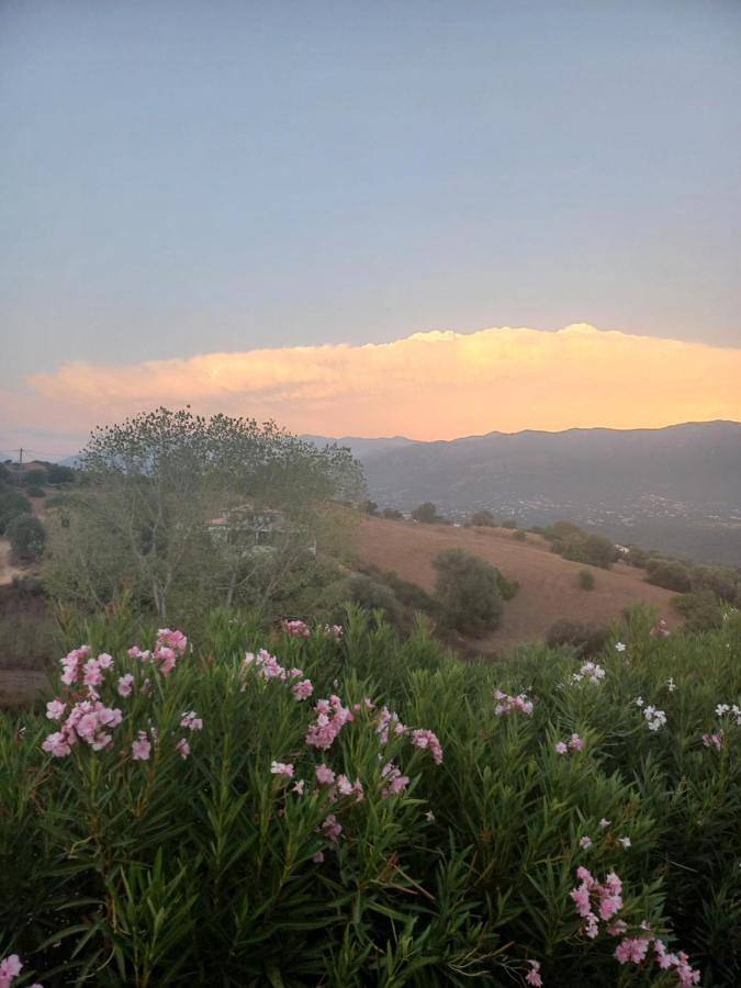 Gîte pour 3 personnes, avec balcon et vue, adapté aux familles à Sarrola-Carcopino - 3